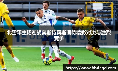 hth华体会体育