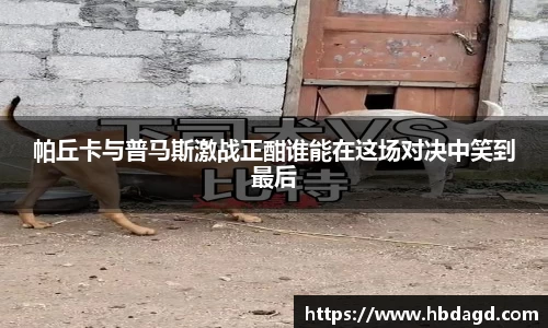 hth华体会