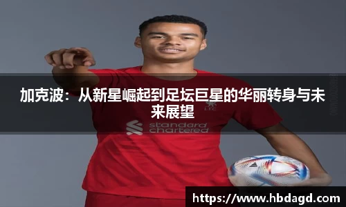 hth华体会官网