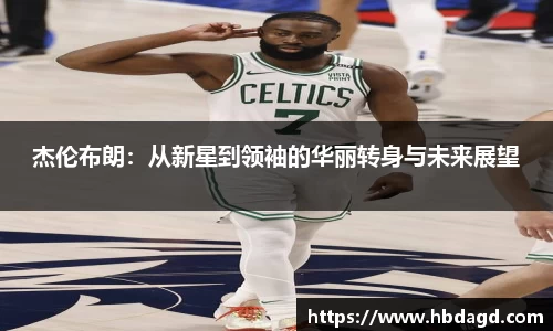 hth华体会官网
