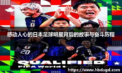 hth华体会